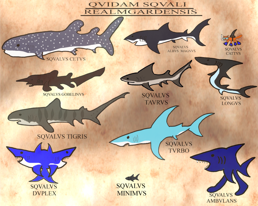 A poster depicting the sharks of Realmgard.